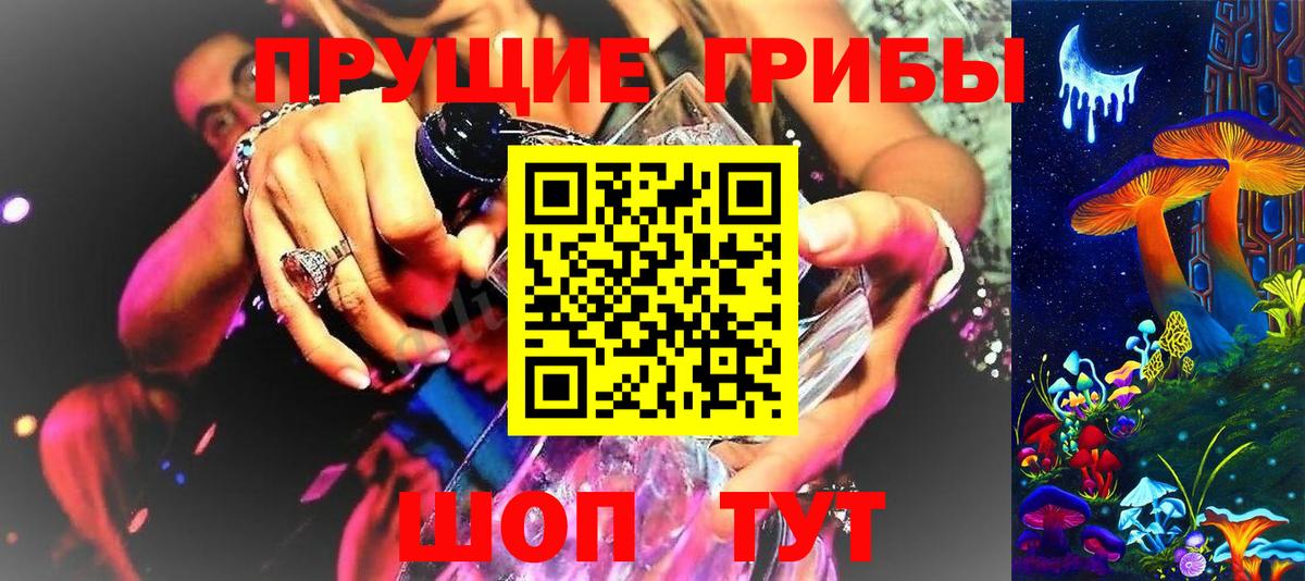 Псилоцибиновые грибы Cubensis Санкт-Петербург