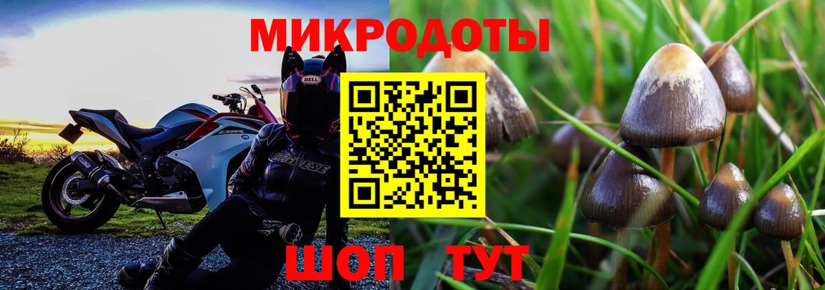 Галлюциногенные грибы GOLDEN TEACHER  Вход с VPN  где найти наркотики  Галлюциногенные грибы мухоморы  Санкт-Петербург 
